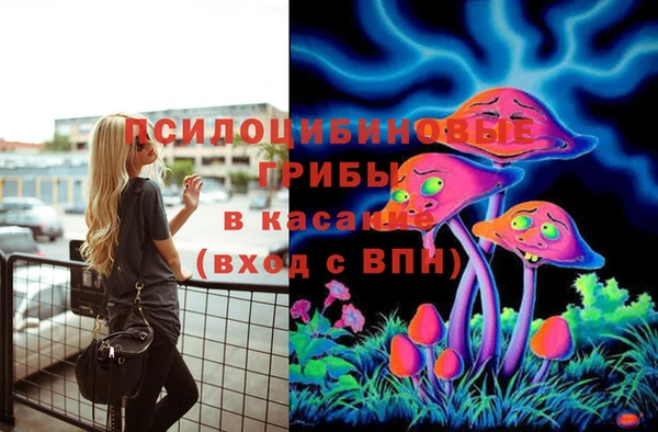 кокаин Вяземский