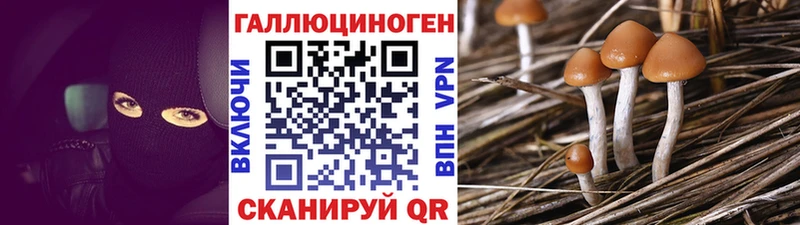 Галлюциногенные грибы прущие грибы  Алзамай 